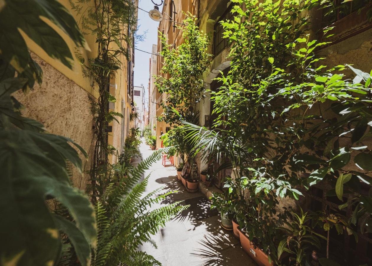 Appartamento Maestrale - Quartiere Castello Cagliari Luaran gambar